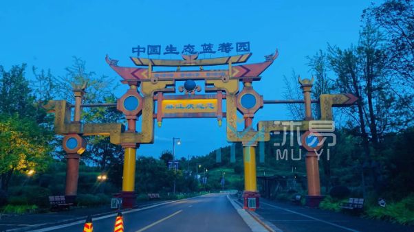 麻江县宣威镇翁保村蓝莓产业配套基础设施建设以工代赈项目(图1)