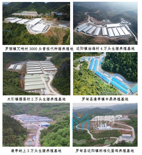 贵州省罗甸县 2023 年畜禽粪污资源 化利用整县推进项目(图1)